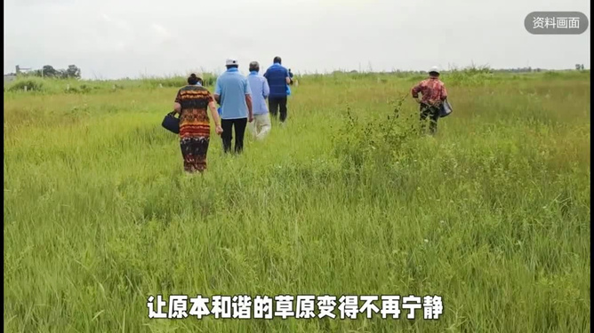 内蒙古24人采摘沙葱韭菜花被查处,一场关于自然保护与法律意识的探讨 内蒙古24人采摘沙葱韭菜花被查处,一场关于自然保护与法律意识的探讨