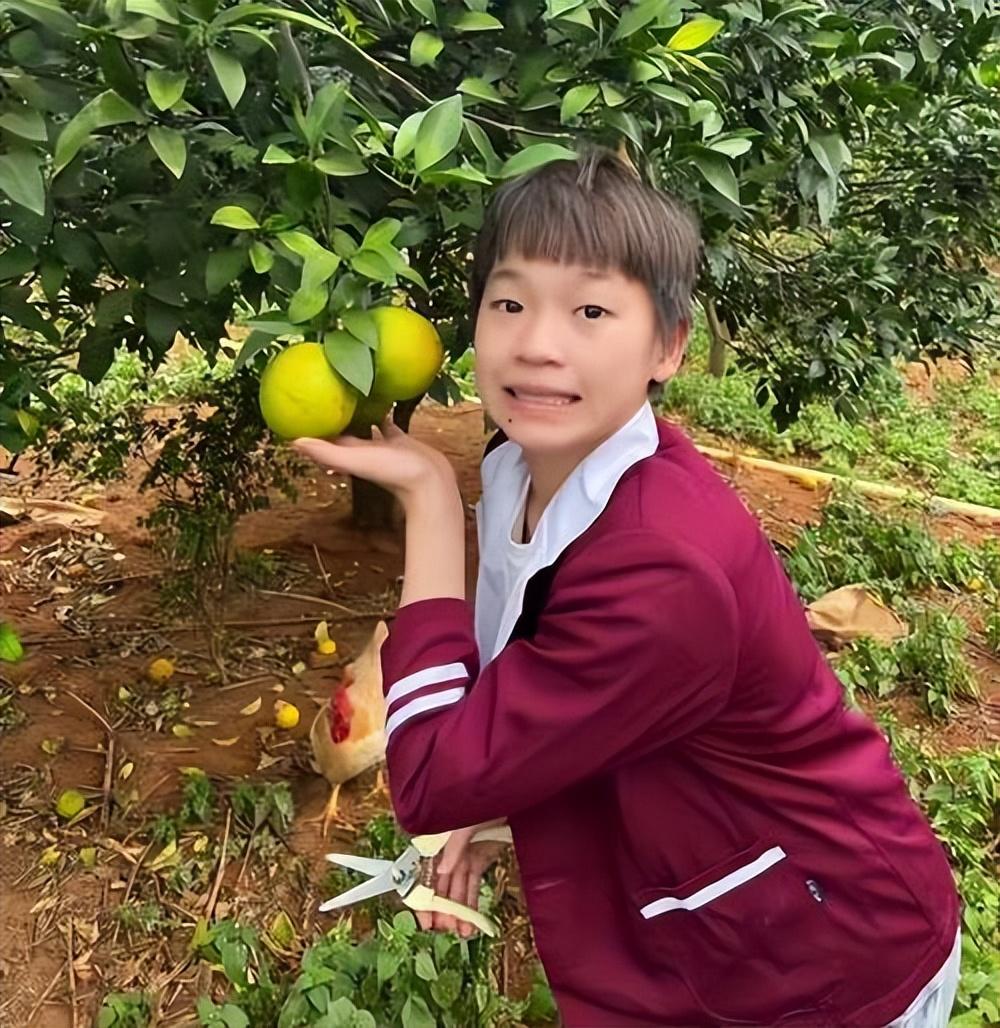 全红婵，用最好的手机，向妈妈表达无尽的爱