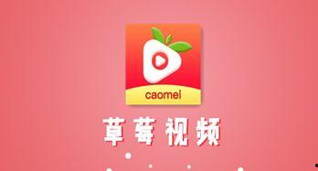 草莓视频在线下载,轻松获取心仪视频