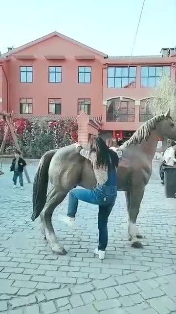 搞笑骑马视频,搞笑骑马视频大盘点