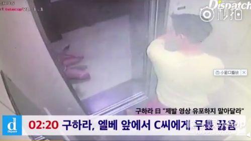 情趣使用视频,视频情趣体验深度解析